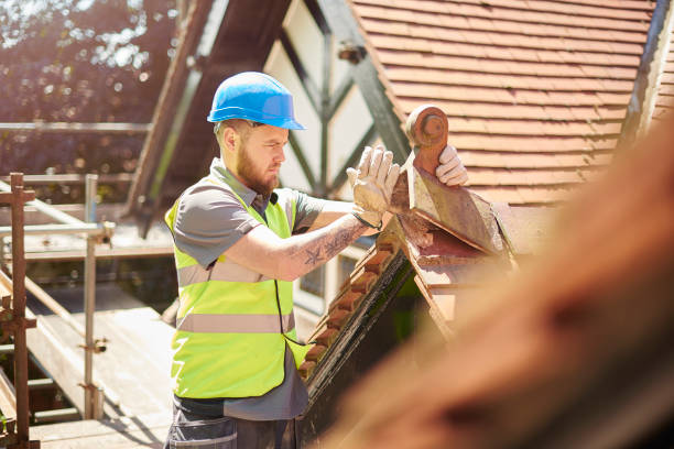 Best Storm Damage Roof Repair  in Chatfield, MN